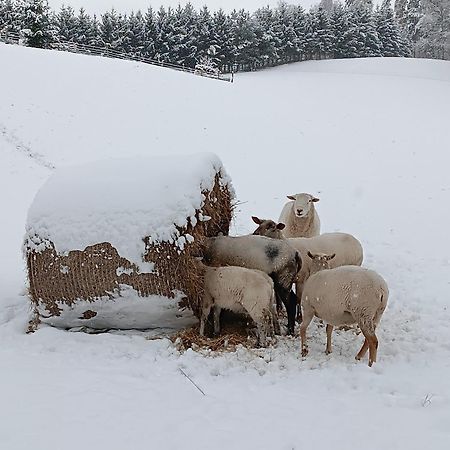 Ubytovani Na Vejminku Leilighet Rtyne v Podkrkonosi Eksteriør bilde